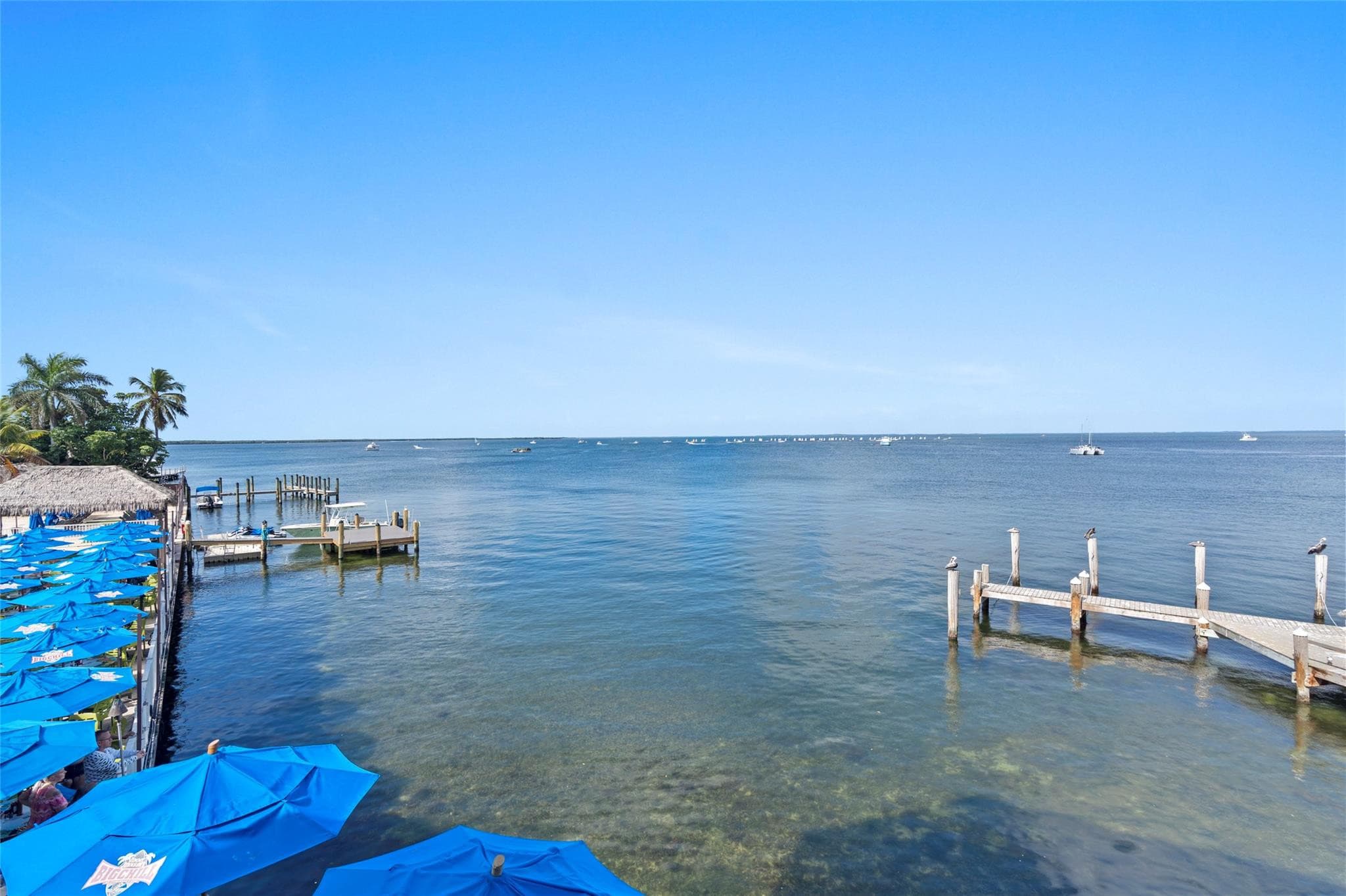 Wide bay panorama with clear green-blue shallows, a boat tied at a small dock, pelicans on pilings, and rows of blue umbrellas shading the waterfront terrace below.